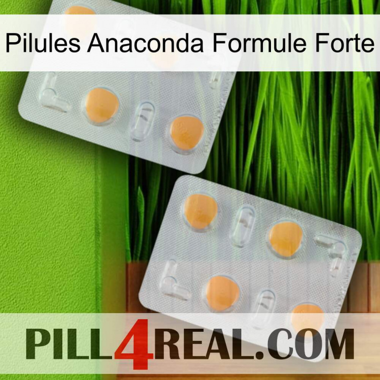Anaconda Strong Formula Pills 25